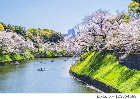 春の千鳥ヶ淵　桜咲く都市の風景【東京都・千代田区】 125654669