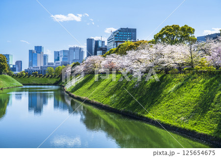 桜咲く春の東京　千鳥ヶ淵・半蔵濠から見る都市風景【東京都・千代田区】 125654675