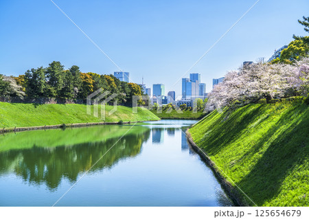 桜咲く春の東京　千鳥ヶ淵・半蔵濠から見る都市風景【東京都・千代田区】 125654679