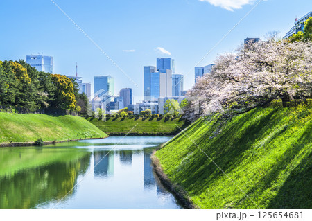 桜咲く春の東京 千鳥ヶ淵・半蔵濠から見る都市風景【東京都・千代田区】 桜咲く春の東京 千鳥ヶ淵・半蔵濠から見る都市風景【東京都・千代田区】 125654681