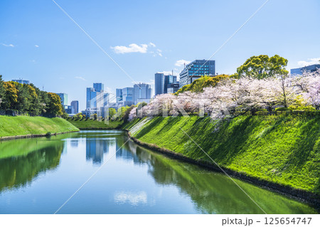 桜咲く春の東京　千鳥ヶ淵・半蔵濠から見る都市風景【東京都・千代田区】 125654747