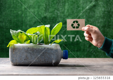 Female hand holding a recycling sign with plastic bottles water DIY for planting vegetable plant on wooden table and decoration in green background, reuse and recycle concepts. Female hand holding a recycling sign with plastic bottles water DIY for planting vegetable plant on wooden table and decoration in green background, reuse and recycle concepts. 125655318