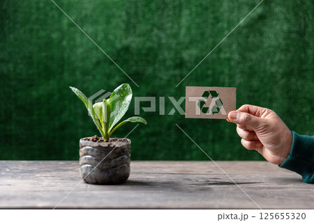 Female hand holding a recycling sign with plastic bottles water DIY for planting vegetable plant on wooden table and decoration in green background, reuse and recycle concepts. 125655320