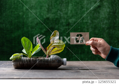 Female hand holding a recycling sign with plastic bottles water DIY for planting vegetable plant on wooden table and decoration in green background, reuse and recycle concepts. 125655321