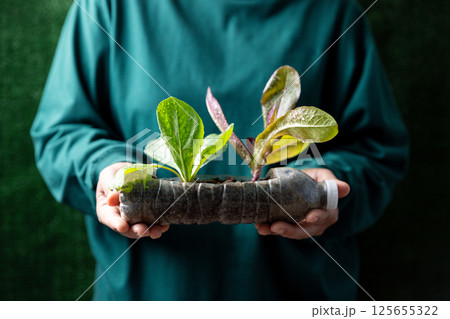 Female hand holding a plant growing in a used plastic bottle with plastic bottles water DIY for planting vegetable plant on wooden table in green background, reuse and recycle concepts. 125655322