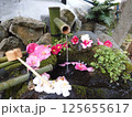 水に浮かぶ花 125655617