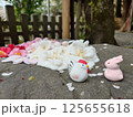 神社にお参りするお神籤 125655618