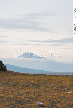 View of Miho no Matsubara beach with mt Fuji 125655702