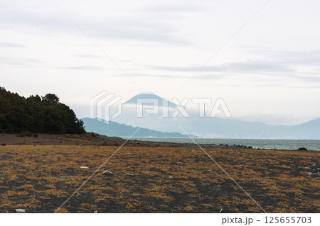 View of Miho no Matsubara beach with mt Fuji View of Miho no Matsubara beach with mt Fuji 125655703