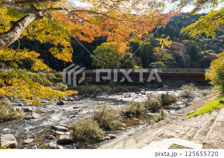 Kaorukaede bridge across Tomoe river at Korankei gorge during autumn season Kaorukaede bridge across Tomoe river at Korankei gorge during autumn season 125655720