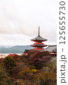 Kyoto, JAPAN - Nov 19, 2024: Morning view of Kiyomizu-dera Temple(Higashiyama) in autumn season Kyoto, JAPAN - Nov 19, 2024: Morning view of Kiyomizu-dera Temple(Higashiyama) in autumn season 125655730