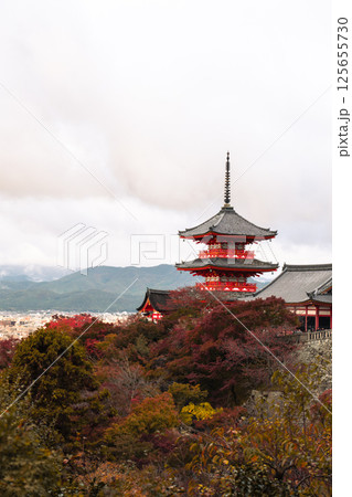 Kyoto, JAPAN - Nov 19, 2024: Morning view of Kiyomizu-dera Temple(Higashiyama) in autumn season 125655730