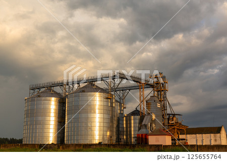 Group of grain dryers complex on dramatic cloudy sunset sky. 125655764