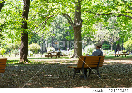 公園のベンチに一人で座る日本人中高年男性 125655826