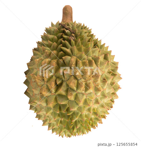 durian isolated on white background durian isolated on white background 125655854