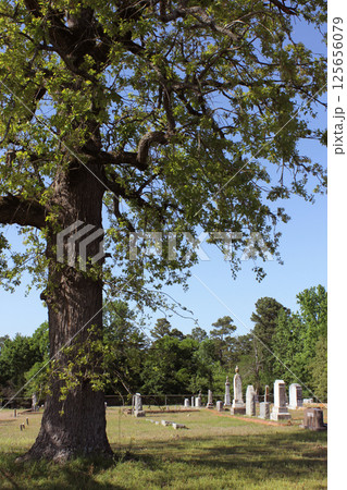 Historic Rucker Cemetery Located outside of Troup TX Historic Rucker Cemetery Located outside of Troup TX 125656079