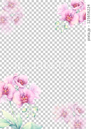 Pink orchid frame. Watercolor illustration on a white background. Soft botanical design with elegant blossoms. Airy flowers are perfect for cosmetic labels, thank you notes, wedding templates Pink orchid frame. Watercolor illustration on a white background. Soft botanical design with elegant blossoms. Airy flowers are perfect for cosmetic labels, thank you notes, wedding templates 125656224