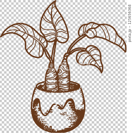 室內植物的線畫 125656368