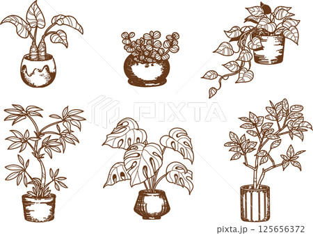 観葉植物の線画のイラストセット 125656372