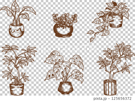 室內植物線描插圖集 125656372