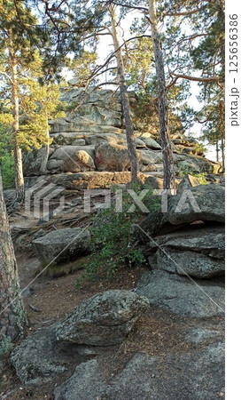 Trees grow on rocks. Borovoe (Burabay) resort in Kazakhstan 125656386