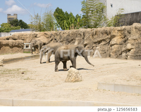 のんほいパーク(豊橋総合動植物公園) のんほいパーク(豊橋総合動植物公園) 125656583
