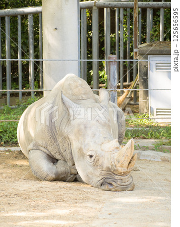 のんほいパーク（豊橋総合動植物公園） 125656595