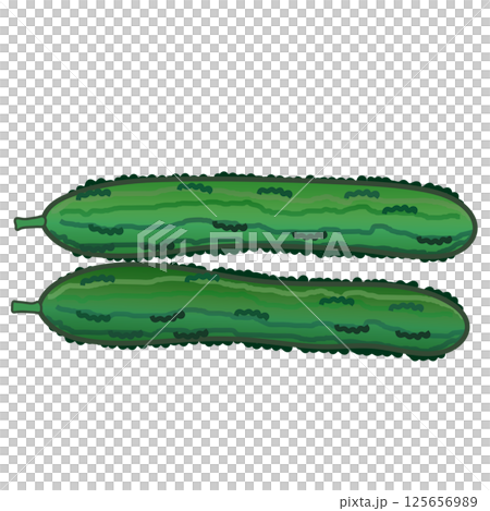 キュウリのイラスト 125656989