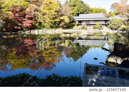 静岡県 三島市立公園楽寿園の小浜池と楽寿館と紅葉 静岡県 三島市立公園楽寿園の小浜池と楽寿館と紅葉 125657109
