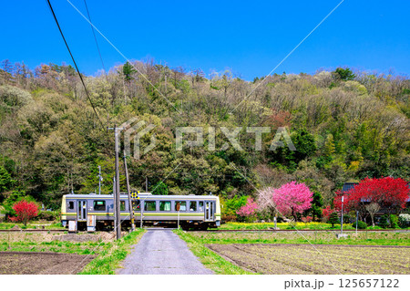 〈島根県〉春の田園を走るキハ120-4 125657122