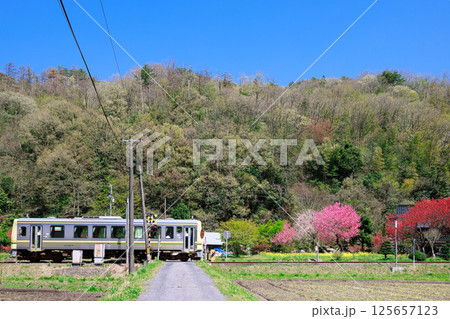 〈島根県〉春の田園を走るキハ120-4 〈島根県〉春の田園を走るキハ120-4 125657123