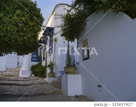 チュニジア・シディブサイドの小道 / Sidi Bou Said, Tunisia チュニジア・シディブサイドの小道 / Sidi Bou Said, Tunisia 125657427