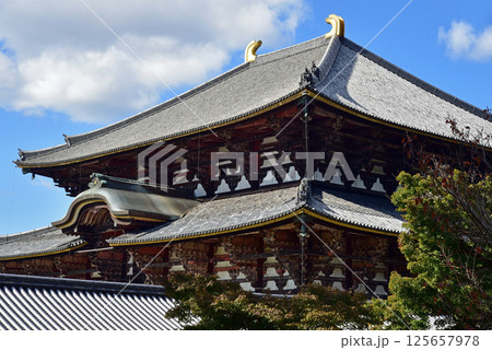 東大寺大仏殿と青い空 125657978
