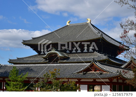 東大寺大仏殿と青い空 東大寺大仏殿と青い空 125657979