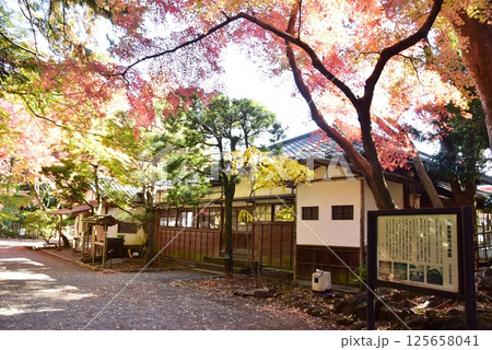 静岡県 三島市立公園楽寿園の楽寿館と紅葉 静岡県 三島市立公園楽寿園の楽寿館と紅葉 125658041