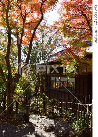 静岡県　三島市立公園楽寿園の楽寿館と紅葉 125658045