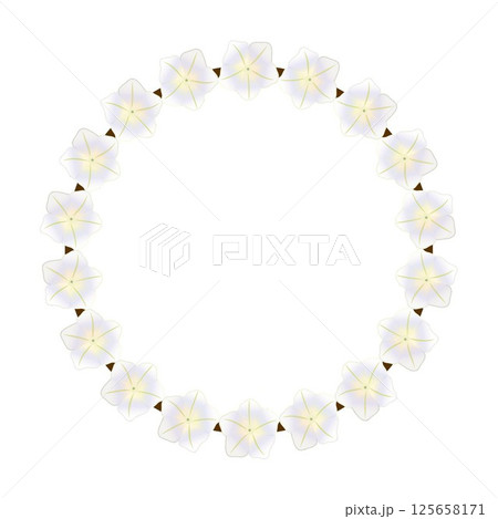 ペチュニアの花の円形飾り枠イラスト ペチュニアの花の円形飾り枠イラスト 125658171