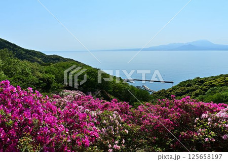 ツツジ咲く、海越しに見る大山 125658197