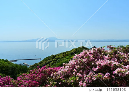 ツツジ咲く、海越しに見る大山 125658198