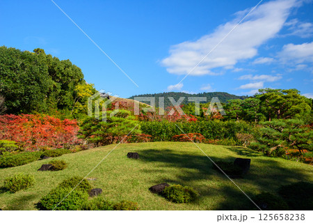 奈良　依水園の秋 125658238