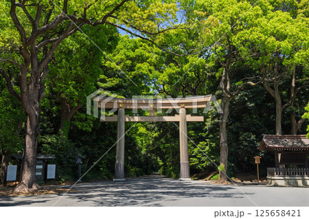 明治神宮の入り口の鳥居 明治神宮の入り口の鳥居 125658421
