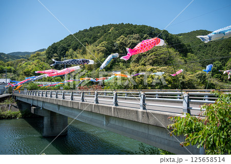 伊与木川の鯉のぼり 125658514