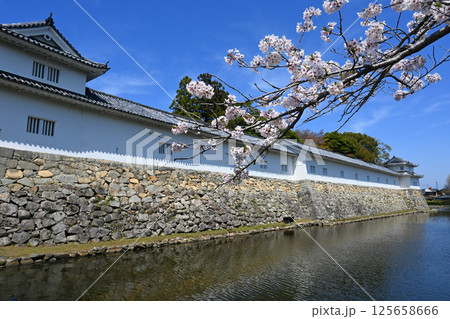 桜咲く滋賀県彦根城 二の丸佐和口多聞櫓と堀 桜咲く滋賀県彦根城 二の丸佐和口多聞櫓と堀 125658666