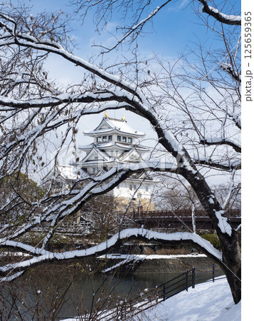 雪の墨俣一夜城 雪の墨俣一夜城 125659365