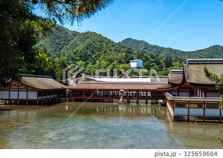 Traditional buildings of Itsukushima shrine in Miyajima, near Hiroshima 125659604