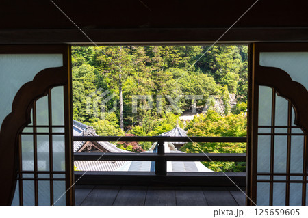 Forest view from inside Daisho-in Temple on Miyajima Island 125659605