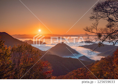 大江山の雲海 125659633