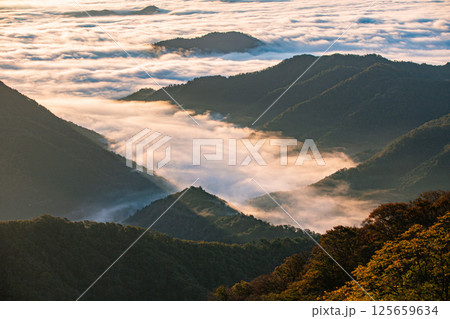 大江山の雲海 125659634