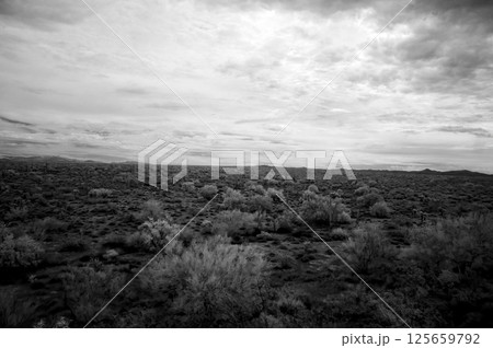 Sonora Desert Arizona in Infrared 125659792