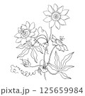 Passion Flower Branch Drawn In Line Art Style 125659984